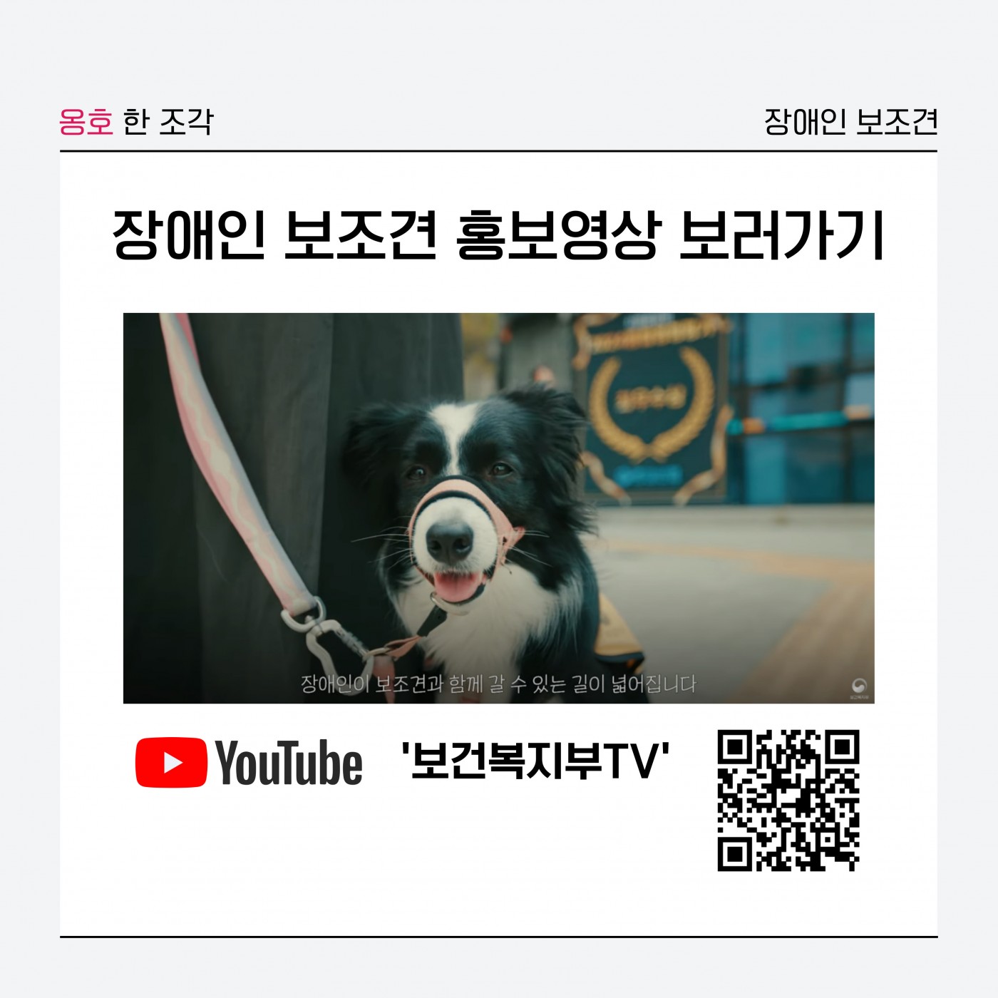 1745554759.36pRpzYOFCyF007.jpg